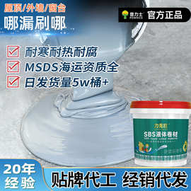 高效环保型液体卷材防水涂料 超强耐候屋顶墙面专用防水材料