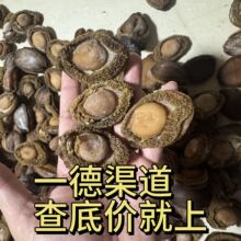 �ϷǴ��U�~ ���U8-10�^�U�~�Ƶ�ʳ�ĺ�ζ��؛���l