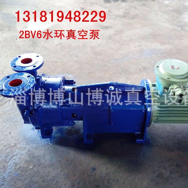 厂家2BV6121,6131不锈钢水环式真空泵