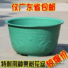 �Ӻ��ش�̖���ϻ����̨ͥԺ�N������߲����������l���бP