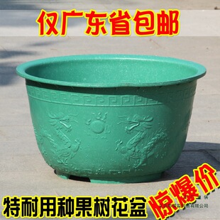 �Ӻ��ش�̖���ϻ����̨ͥԺ�N������߲����������l���бP