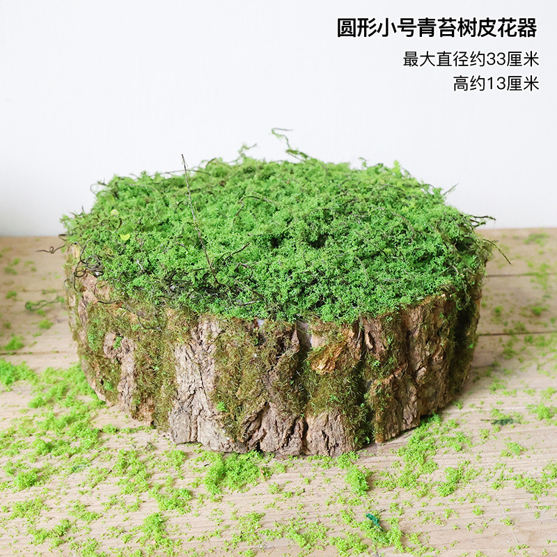 創意的な苔のコケの樹皮の置物の手作りの庭園の装飾は布のショーウインドーの熱帯雨林の植物の角の設計を作ります。