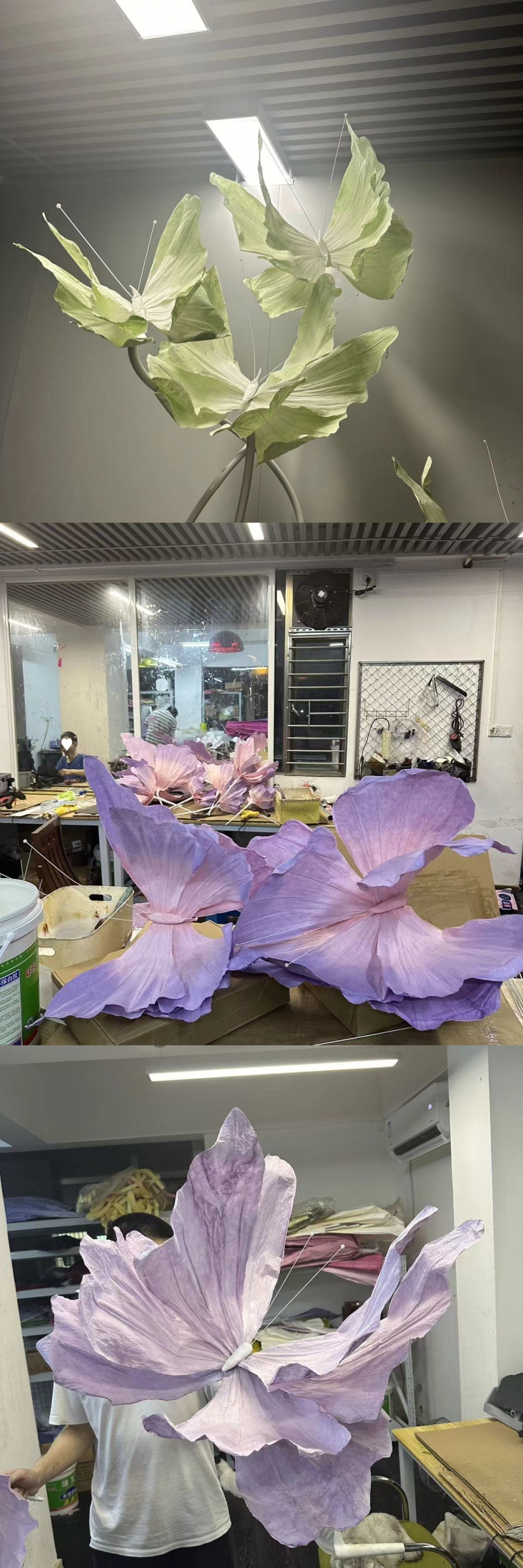 6b4dbbb0-0358-4316-b8eb-bdfdf7f509c9.jpe