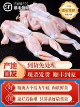 牛蛙超大特大鲜活新鲜冷冻田鸡青蛙蛤蟆杀好后蛙块商用火锅食材无