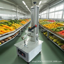 瓜果削皮机多功能木瓜去皮机快速去皮芋头削皮机哈密瓜自动削皮机