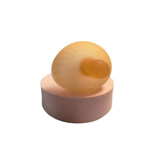 World Happiness Same Style Small Mushroom Teether for Baby's Teething Stage, Anti-Sucking Hand Massage Toy, Food-Grade Silicone Material