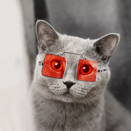 Pet Cat Sunglasses, Cute Accessories for Small Dogs, Fashionable and Stylish, Available in Multiple Colors, Perfect for Pets