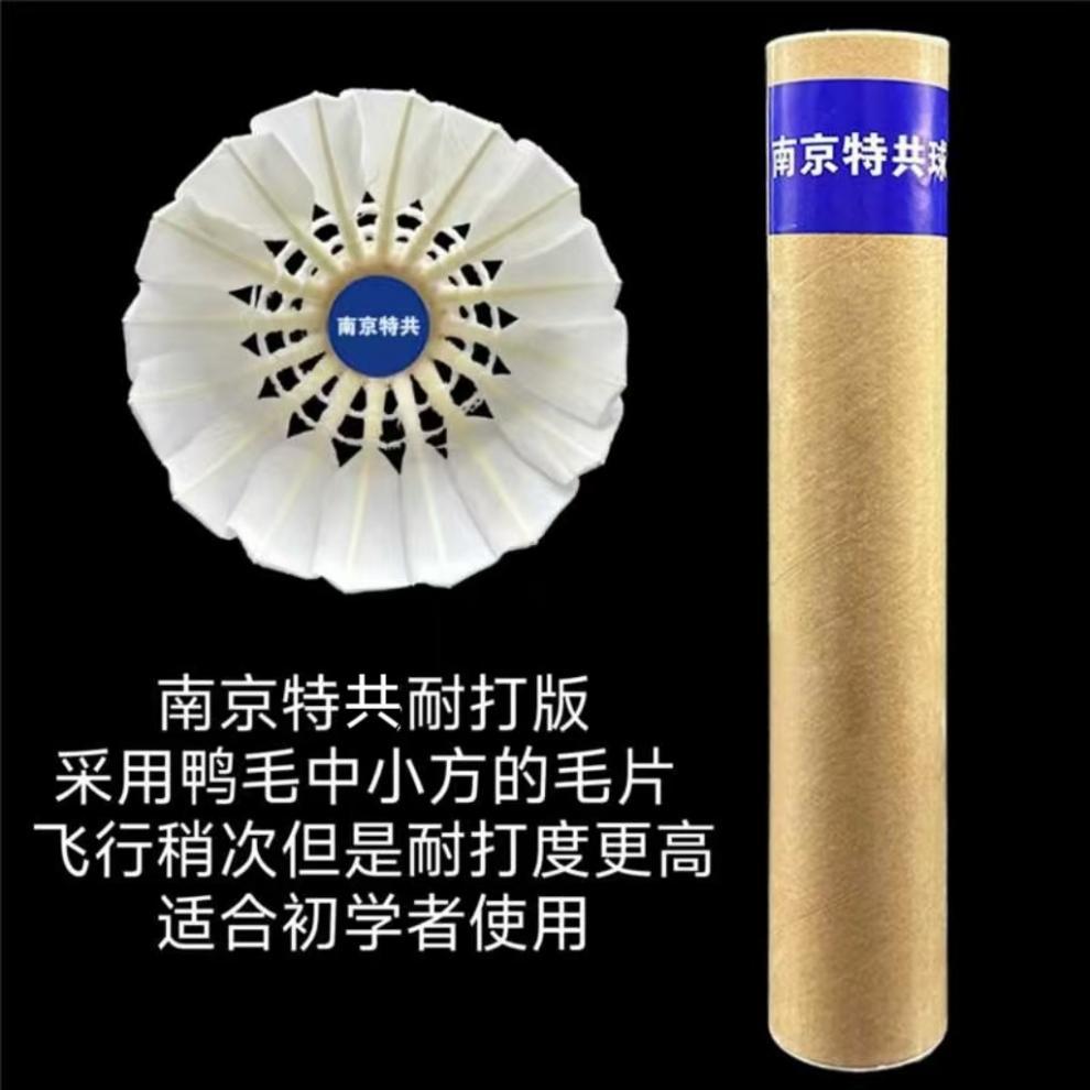 735a2d6c-9002-42ff-b1db-445792d68e27.jpe