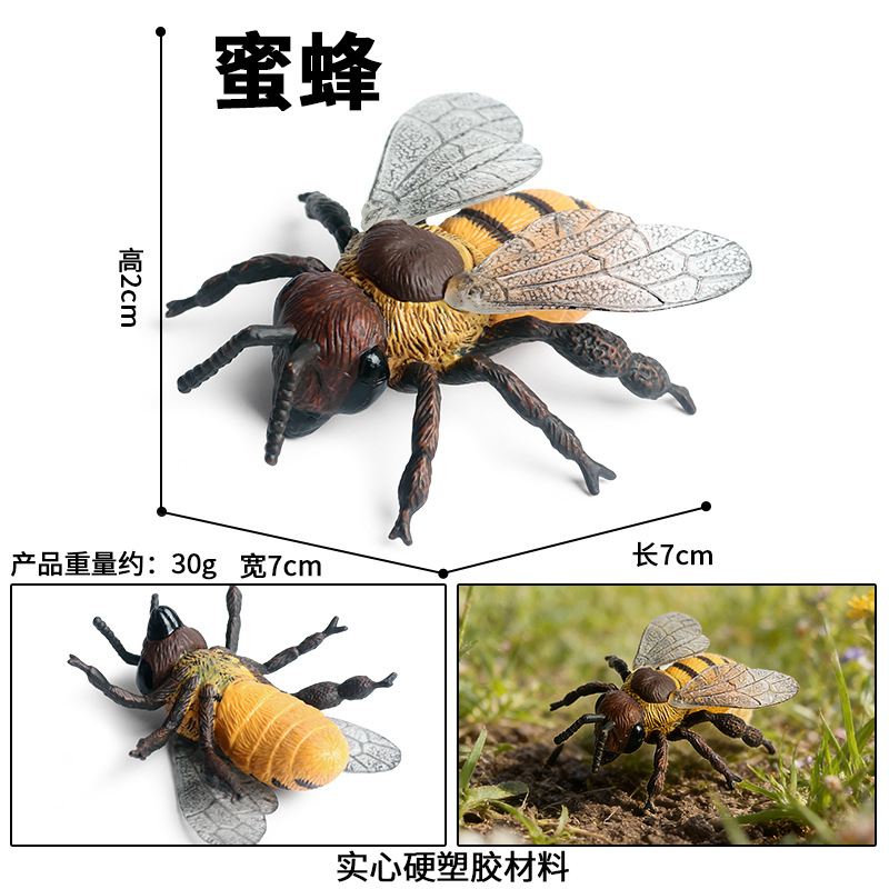 M-1309 large bee