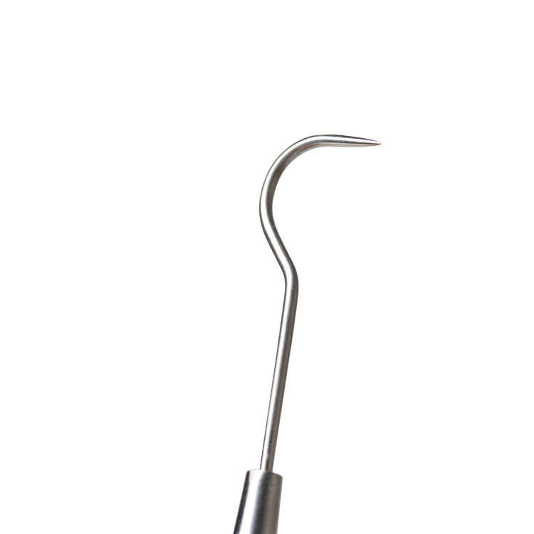 Sonda dental gancho de diente de acero inoxidable de doble cabeza sonda oral sonda Dental Cuidado Oral fabricante en stock