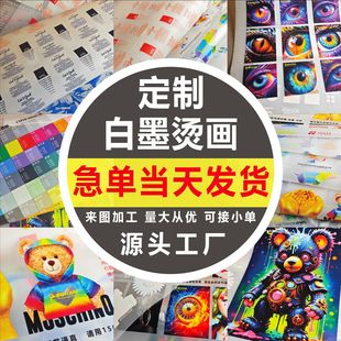 ���ư�ī�C��T��ϴˮ�O�C��DTF���LOGOӡ���ӹ����D��ʽ�C�D���b