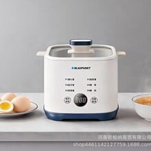 �{���๦������BP-ZD09�๦�����u��С����͙C��������������