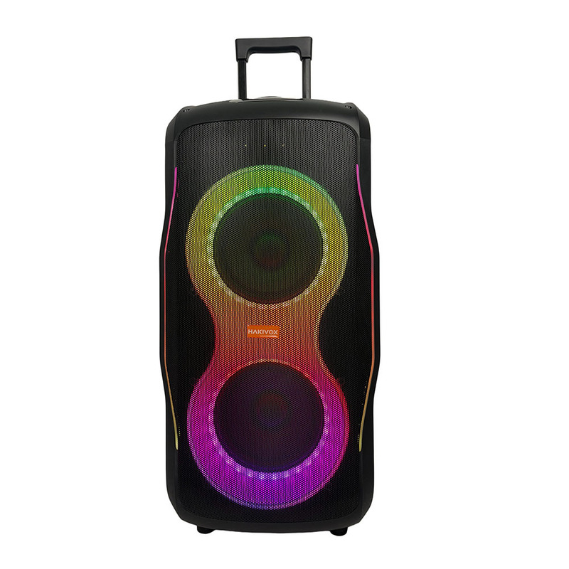 Source manufacturer dual 8inch Bluetooth speaker, market promotion loudspeaker, supports OEM customization
