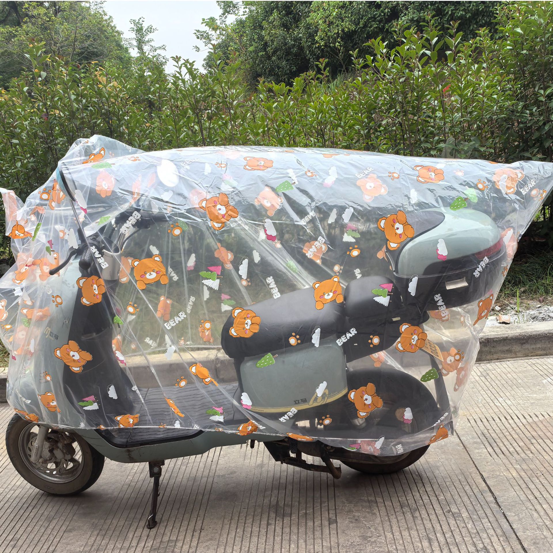 투명하고 귀여운 곰 버전 2.0