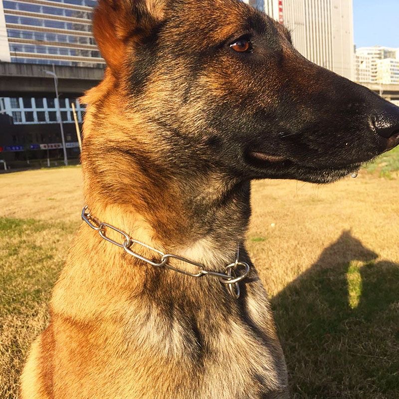 微信图片_202402281143461