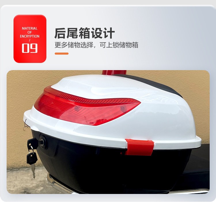 Patrol Electric Vehicle Security Battery Car