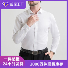 2026�����¿��DP���޳�����C���r�����̄��I�b�L���r�����l