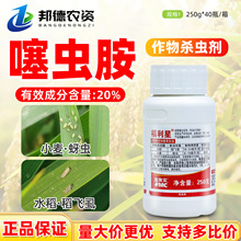 ������������ 20%���x��ˮ��С���ﵾ�wʭ���x�r��ș���|��x��