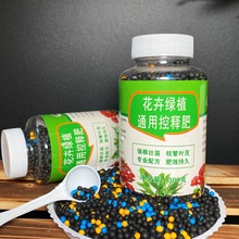 有机花卉绿植园艺缓控释肥家庭种植蔬菜多肉植物复合肥厂家批发代
