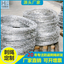 刺绳刺铁丝铁刺绳刀片围栏围墙防盗网丝网带刺小区防护钢丝线围网