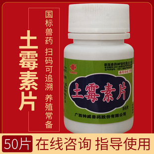 �Fș��ù��Ƭ�ușƬ�������i�x�ٸ�֧ԭ�w��Ⱦ������Ƭ�F������ș