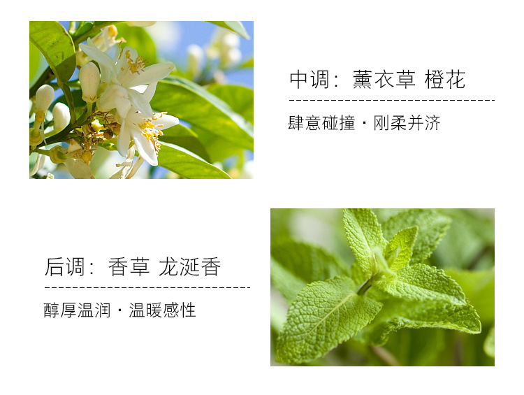 3fc5e3d79a63e8f8fd100a376667cd