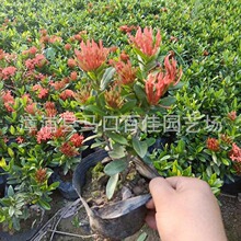 ���l�@�־��^�G����ľҎ���Rȫ�����ټш@ˇС�~����������