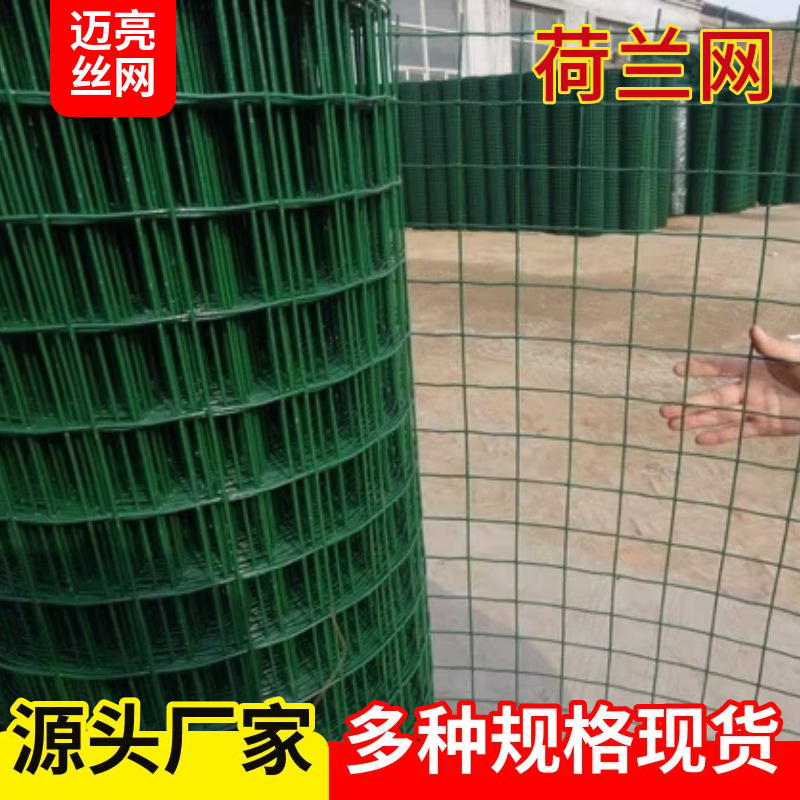 养鸡养殖荷兰网 硬塑加粗铁丝网 鸡鸭鹅围栏网果园防护网厂家批发