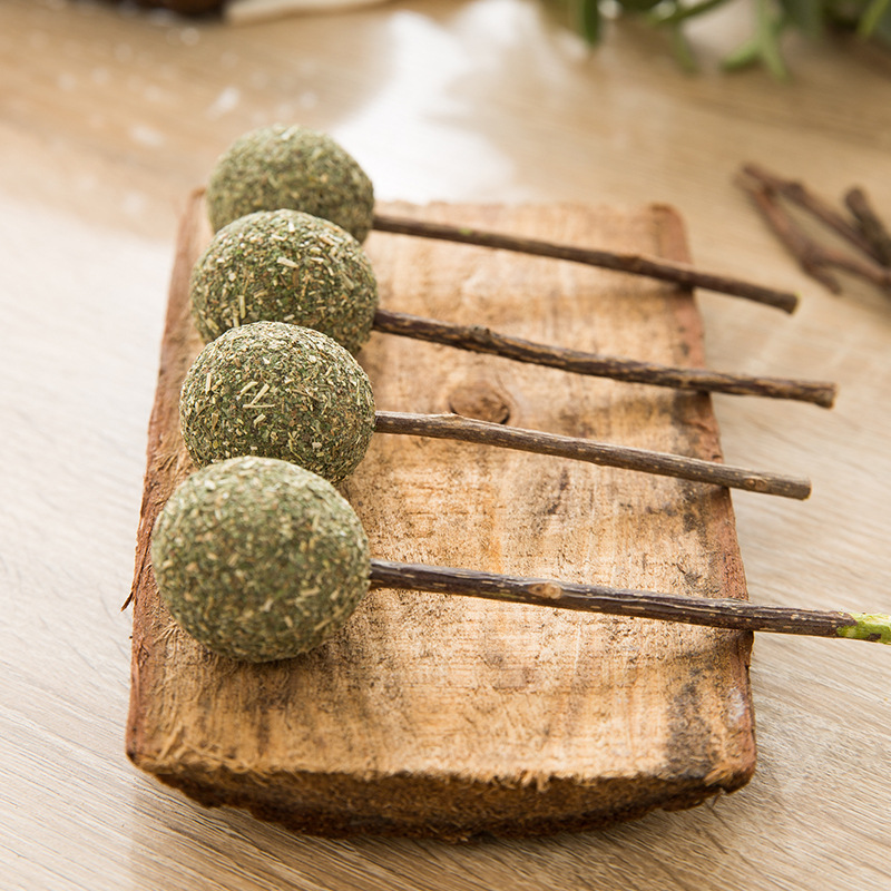 Gato de madera, hierba para gatos, bocadillos para gatos, juguetes para mascotas, palillos de menta, pirolaps para gatos, palillos para gatos, dientes para gatos, productos para limpiadores de dientes