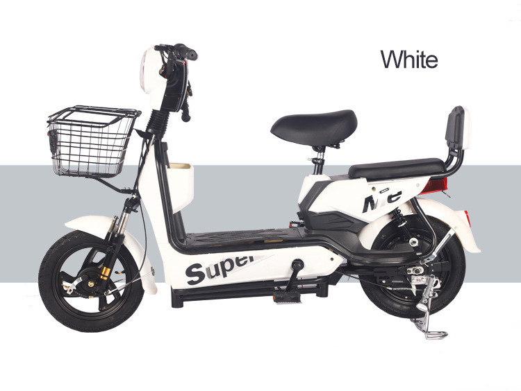 Electric Bicycle for Adults, Men and Women, Long Range