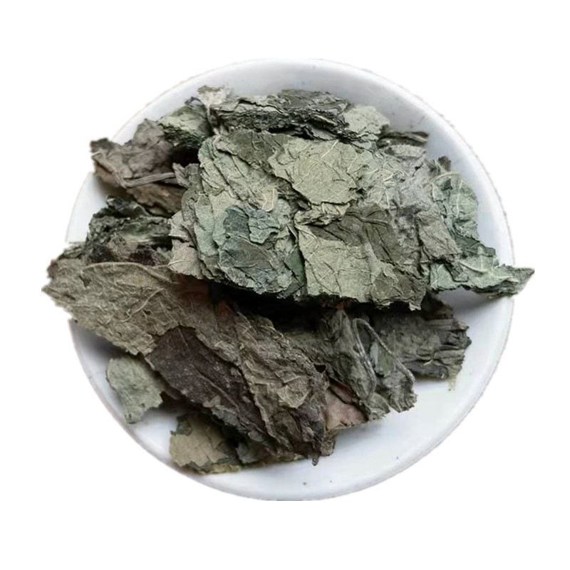 Dried Paper Mulberry Leaves Chu Tao Ye Bulk Herbal Tea Leaves Traditional TCM Botanical in use