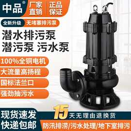 WQ污水泵潜水排污泵潜污泵大流量大功率防汛排涝泵三相电排污泵