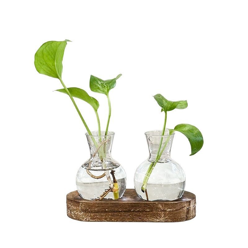 インスタイル木製フレーム水耕栽培透明花瓶ポトス植物フラワーアレンジメントリビングルームオフィスデスクトップクリエイティブ装飾|undefined
