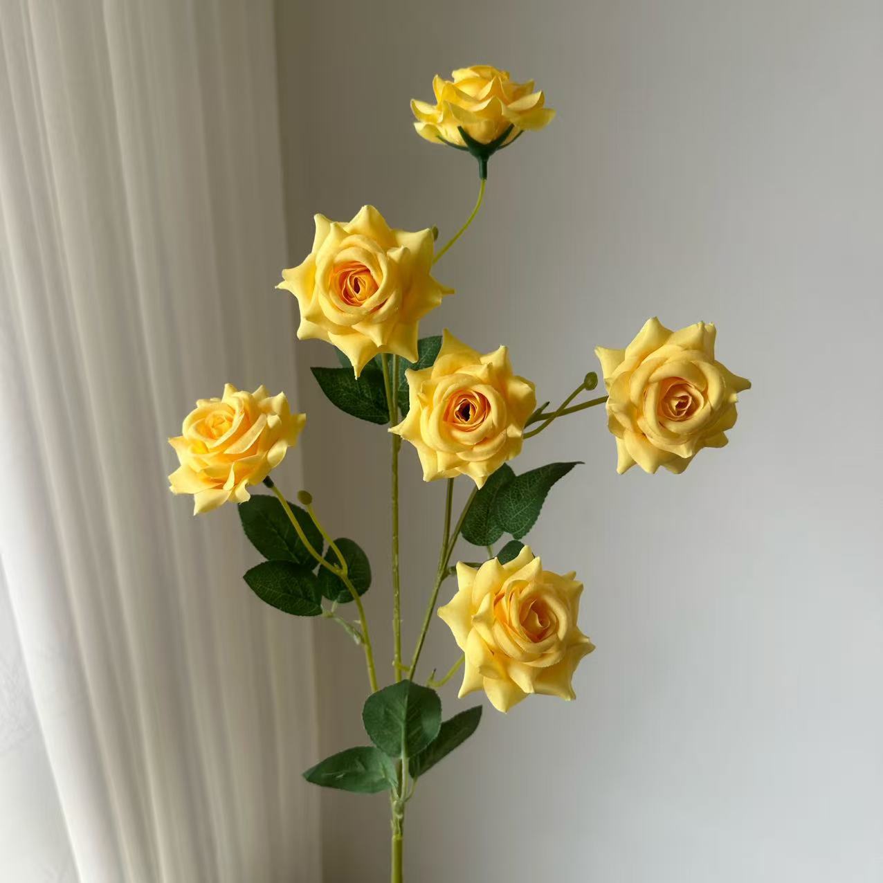 6송이 미니 뿔 장미