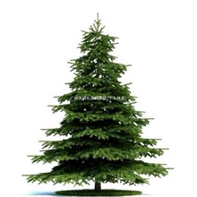 ѩɘ}Q،ֲﳣGļеͥԺeG