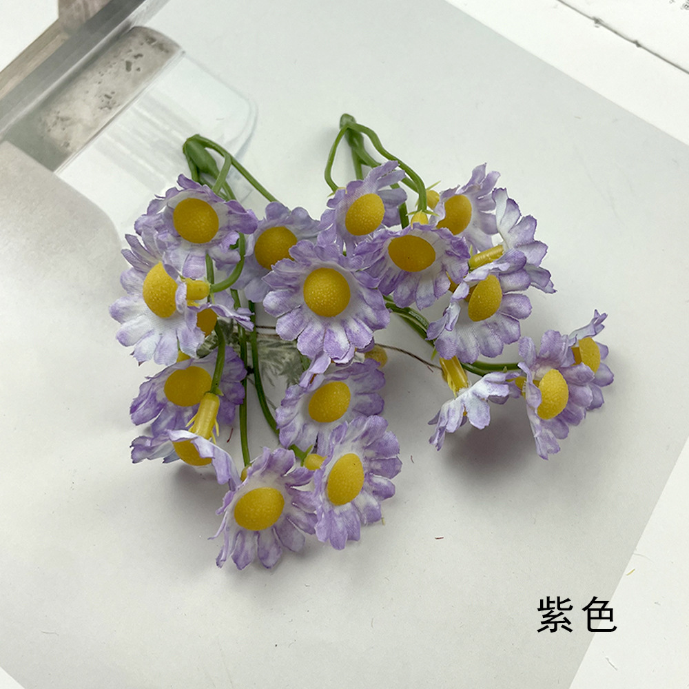 보라