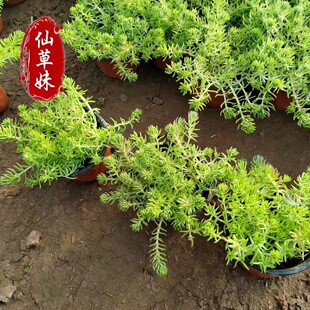 ���~��ײ� �ļ��������ֲ���ײ��������R��䁈@�� �S��l