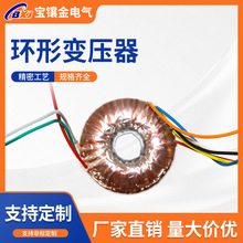 厂家定制环形变压器双绕组大功率电源变压器家电功放变压器可定做
