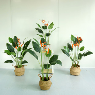 B˽Gֲԙֲ҃ȿ͏db쾰^