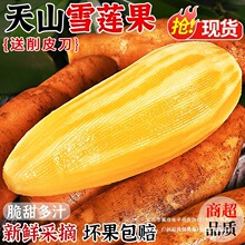 �����ɽѩɏ��10�����rˮ�������F�ڴ���t��ѩ�B���r��������