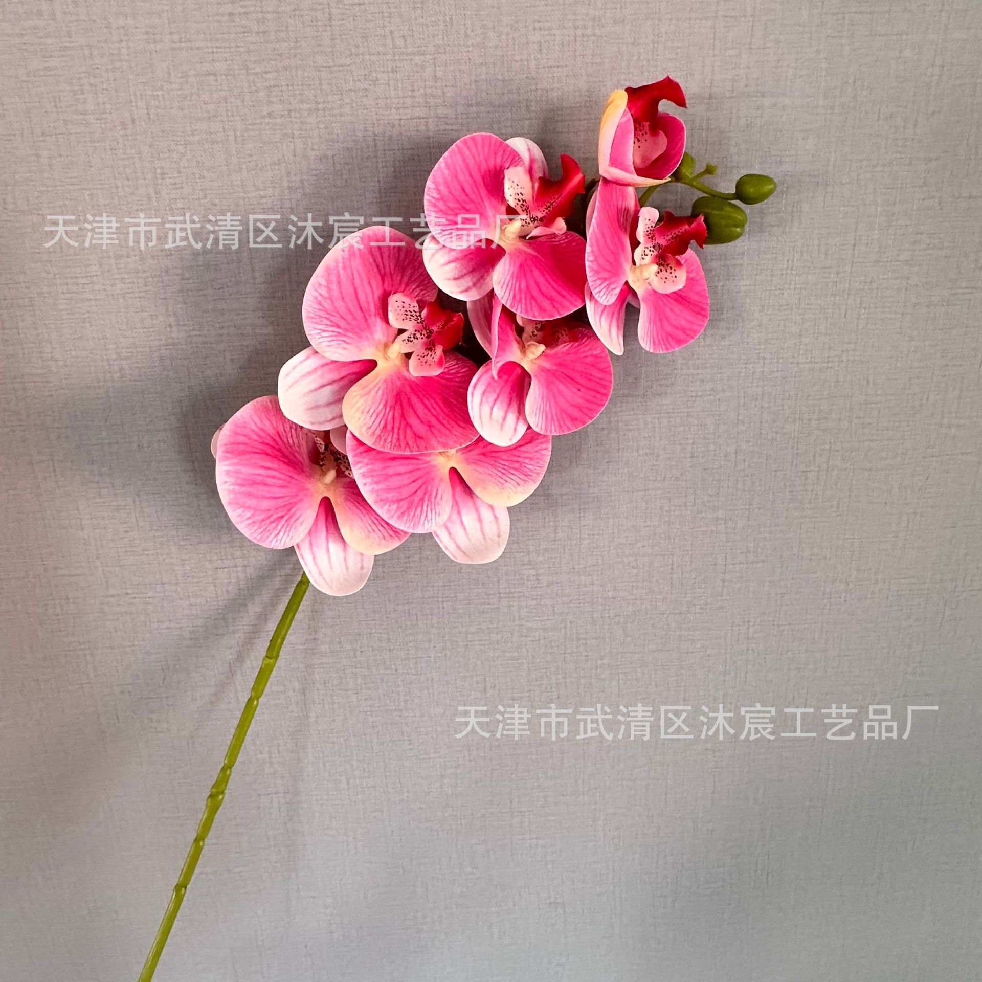 3D 7-cabeza Phalaenopsis mano-sensación de película Phalaenopsis venta al por mayor boda hogar decoración floral tiro flor material