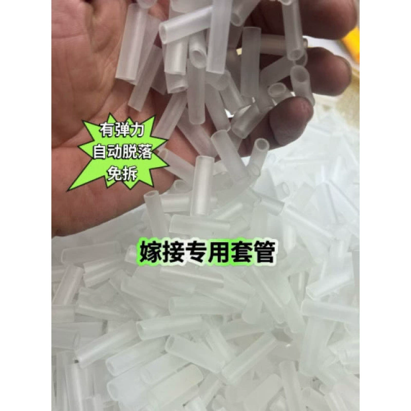 Привитая втулка фруктовых деревьев цветы маракуйя