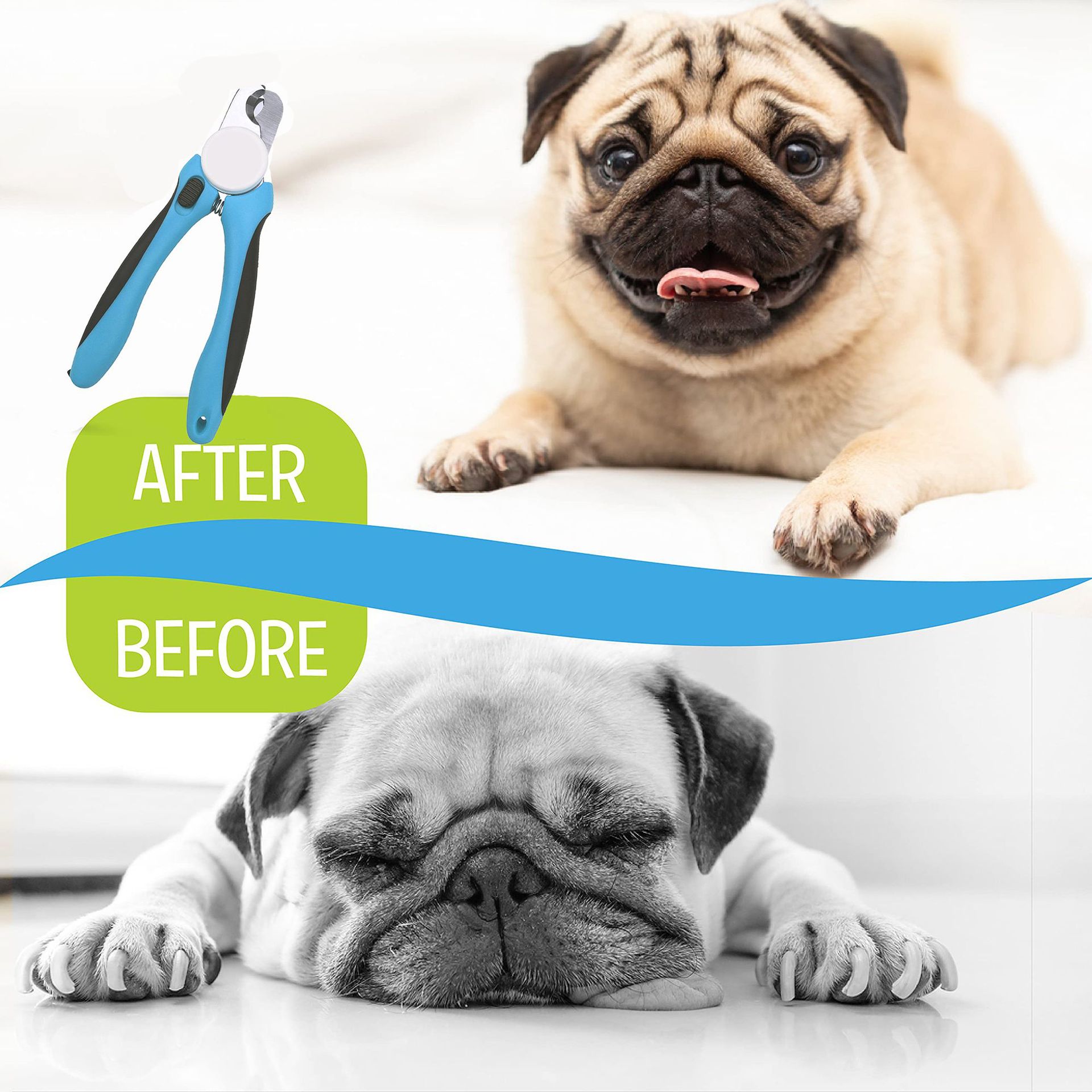 Pet Grooming