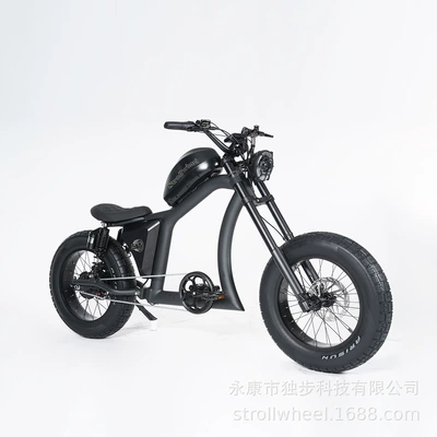 and Rear Dual Shock Absorbers, Electric – Elektrikli motosikletlər - black-48v225ah
