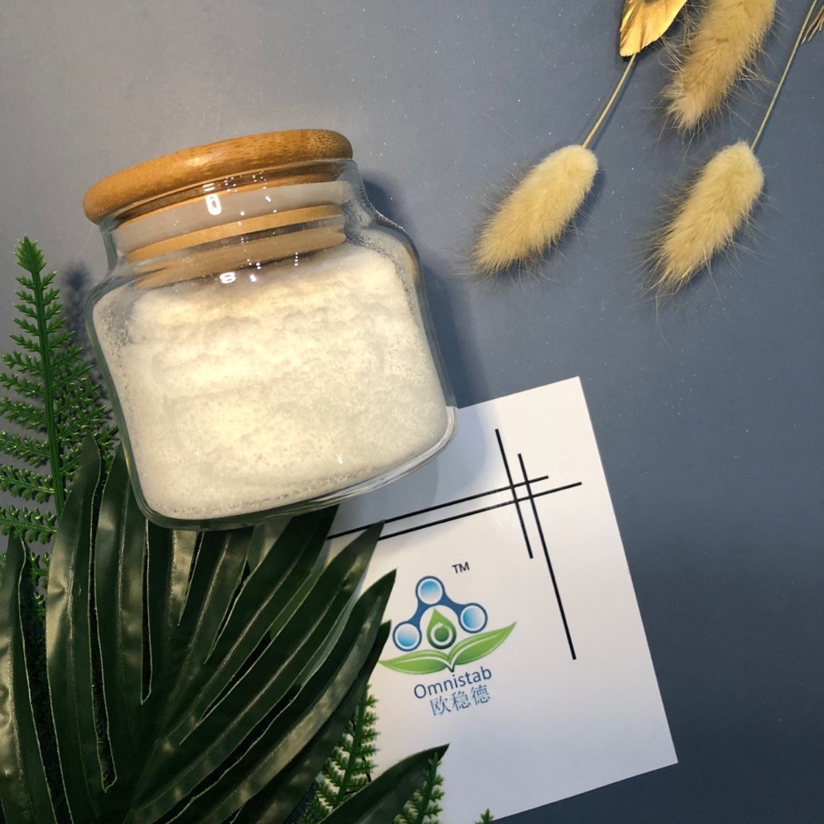 欧稳德OMNISTAB塑料抗氧剂AN168亚磷酸酯抗氧剂 CAS 31570-04-4