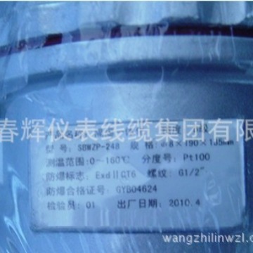 WZPB-230 WZPB-240一体化热电阻