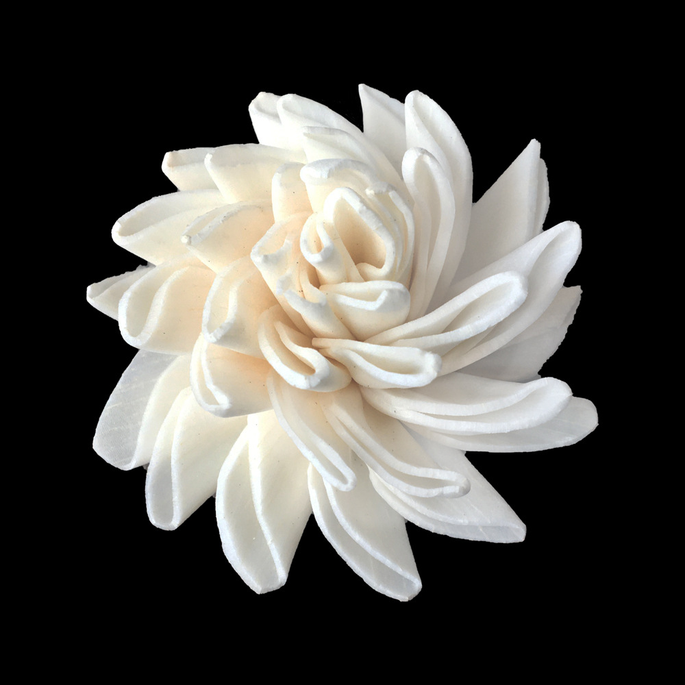 4.5cm大丽花