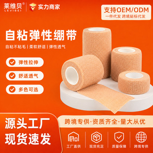 �t�Ï�����ճ�X�����ڰ����̶�͸���z���z���oָ��ϥ�׸ߏ�������