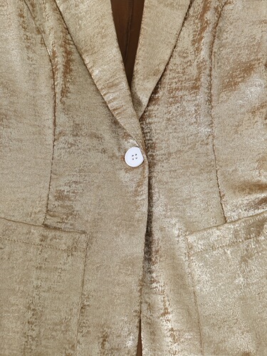 Elegant Metallic Polyester Single Button Blazer for Women