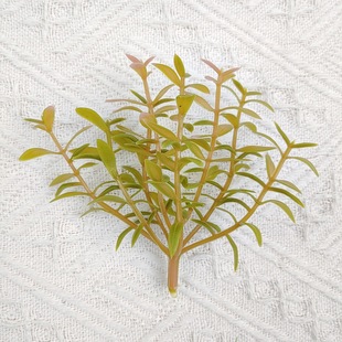 Nˮ ϙֲ֦G~ߗUٻҾӻbc